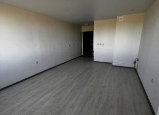 Продается квартира студия, 26 м2, деревня Хохряки, Тепличная улица, 30