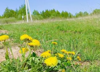 Продаю земельный участок, 25 сот., деревня Алфёрово, Сиреневая улица