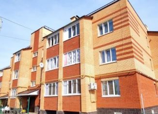 1-ком. квартира на продажу, 39 м2, село Дмитриевка, Яблоневая улица, 30