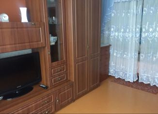 Однокомнатная квартира в аренду, 29 м2, Новосибирская область, микрорайон Подгорный, 46А