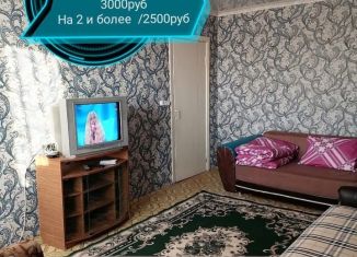Сдается однокомнатная квартира, 40 м2, Воронежская область, переулок Дзержинского, 4
