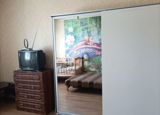 Сдается однокомнатная квартира, 35 м2, Московская область, улица Академика Доллежаля, 2к1