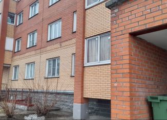 Продам двухкомнатную квартиру, 53 м2, Новосибирская область, улица Чапаева, 1А