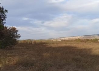 Продажа участка, 1500 сот., село Севастьяновка, улица Чапаева, 27