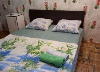 1-комнатная квартира в аренду, 39 м2, Черкесск, Красноармейская улица, 134
