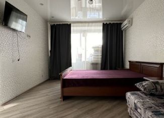 1-комнатная квартира в аренду, 52 м2, Самара, переулок Юрия Павлова, 7А, метро Победа