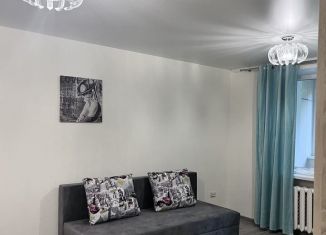 1-комнатная квартира в аренду, 40 м2, Самара, Запорожская улица, 37, метро Безымянка