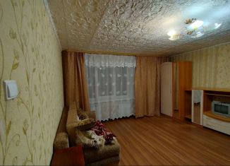 Сдам однокомнатную квартиру, 41.5 м2, Свердловская область, улица Попова, 19