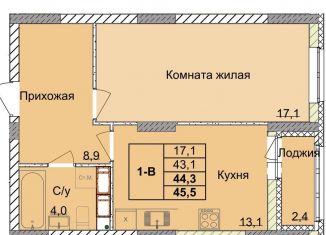 1-комнатная квартира на продажу, 44.3 м2, Нижний Новгород, 1-я Оранжерейная улица, 16, Советский район