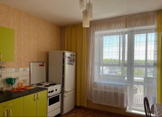 Сдается 1-комнатная квартира, 40 м2, Челябинск, Магнитогорская улица, 91, Ленинский район