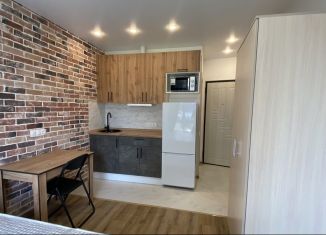 Сдается в аренду квартира студия, 17 м2, Люберцы, улица Лётчика Ларюшина, 4/1, ЖК Жулебино Парк