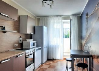 Сдается 1-комнатная квартира, 40 м2, Санкт-Петербург, проспект Юрия Гагарина, 14к1, метро Электросила