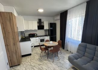 2-комнатная квартира в аренду, 50 м2, село Витязево, Динская улица, 25