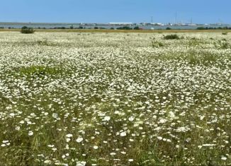 Продается участок, 2660 сот., Новосельское сельское поселение