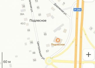 Продаю дом, 60 м2, деревня Подлесное, Центральная улица, 51