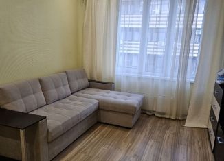 1-комнатная квартира в аренду, 37 м2, Краснодарский край, улица Лермонтова, 116к1