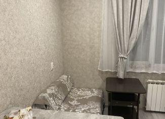 Однокомнатная квартира в аренду, 40 м2, Ставрополь, переулок Макарова, 26