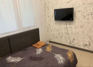 Сдаю квартиру студию, 18 м2, Зеленоград, Зеленоград, к405