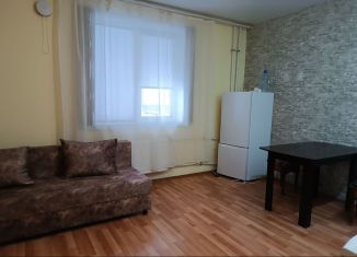 Сдам в аренду квартиру студию, 23 м2, Пермский край, Цветочная улица, 3