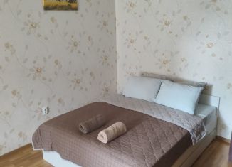 Сдается в аренду однокомнатная квартира, 50 м2, Ставропольский край, Оранжерейная улица, 22/2