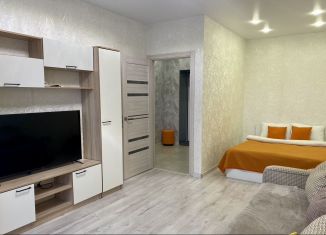 Аренда 1-комнатной квартиры, 42 м2, Тверь, 1-я улица Рабочая Слобода, 36к1