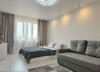 Сдается 1-ком. квартира, 43 м2, Смоленская область, Киевский переулок