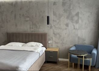 Сдача в аренду однокомнатной квартиры, 39 м2, Воронеж, Гродненская улица, 65, ЖК Эко Дом