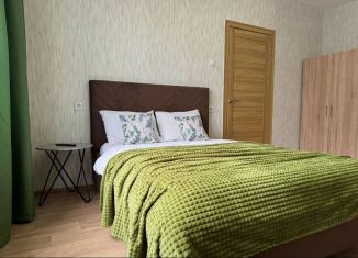 Сдам однокомнатную квартиру, 34 м2, Орёл, Зареченская улица, 2к1, микрорайон Зареченский