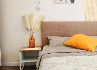 Сдача в аренду двухкомнатной квартиры, 45 м2, Карелия, Литейная площадь