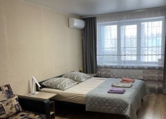 Сдается в аренду 1-ком. квартира, 48 м2, Можга, микрорайон Наговицынский, 13А