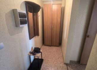 Аренда 1-ком. квартиры, 36 м2, Березники, улица Строителей, 10