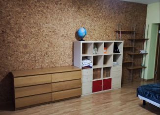 Сдаю в аренду 1-комнатную квартиру, 58 м2, Татарстан, Хороводная улица, 50