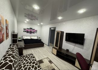 Сдам в аренду 1-ком. квартиру, 42 м2, Краснокаменск, Парковая улица, 30Ц