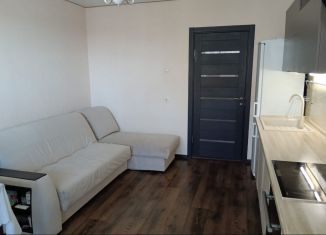 Сдается двухкомнатная квартира, 48 м2, Владимир, улица Нижняя Дуброва, 15, ЖК Орбита