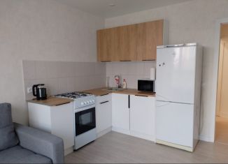 Сдача в аренду однокомнатной квартиры, 40 м2, Великий Новгород, ЖК Ивушки, Большая Московская улица, 132к2