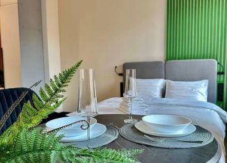 Аренда квартиры студии, 24 м2, Санкт-Петербург, Тележная улица, 23, муниципальный округ Лиговка-Ямская