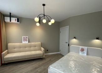 Сдается в аренду однокомнатная квартира, 41.8 м2, Йошкар-Ола, улица Кирова, 25, микрорайон Мирный