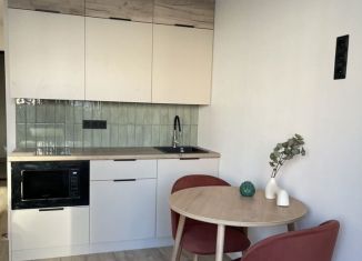 Продаю квартиру студию, 22 м2, Тюмень, улица Новосёлов, 113, Калининский округ