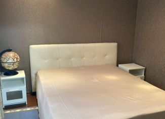 Сдается дом, 36 м2, посёлок Сенной, улица Мира, 102