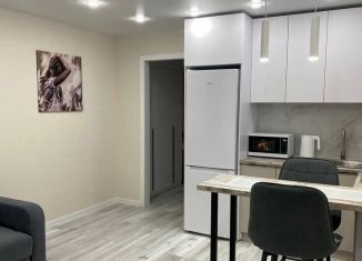 Квартира в аренду студия, 27 м2, Ижевск, Парковая улица, 5А