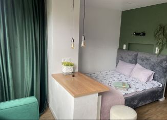Аренда квартиры студии, 37 м2, Санкт-Петербург, улица Прокофьева, 7к2, метро Проспект Просвещения