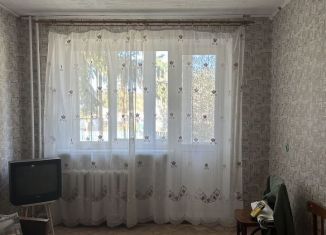 Продается 1-комнатная квартира, 30 м2, село Дмитриевка, Трактовая улица, 20