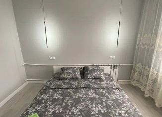 Аренда двухкомнатной квартиры, 46 м2, Ростов-на-Дону, улица Мечникова, 110с2, ЖК Династия