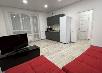 Сдача в аренду однокомнатной квартиры, 44.7 м2, Тюмень, Краснооктябрьская улица, 14к2