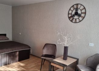Аренда 1-комнатной квартиры, 33 м2, Калининград, улица Георгия Димитрова, 26