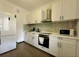 1-ком. квартира в аренду, 35 м2, Мурино, улица Шувалова, 23, ЖК Гринландия-2