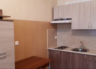 Продаю квартиру студию, 23.4 м2, посёлок Шушары, Вилеровский переулок, 6, ЖК Юнион