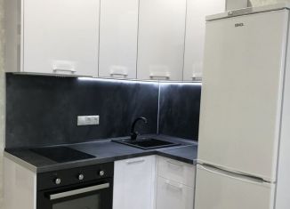 Сдается в аренду квартира студия, 23 м2, Ростов-на-Дону, Доломановский переулок, ЖК Центральный