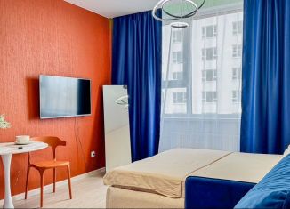 Сдаю квартиру студию, 32.2 м2, Екатеринбург, улица Фрунзе, 31