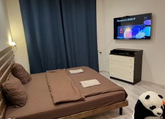 Сдам в аренду квартиру студию, 27 м2, Нижний Новгород, улица Маршала Баграмяна, 2, Советский район